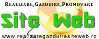 realizare gazduire promovare site web